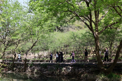 Happy Team Building im Zhong Yandang Mountain
